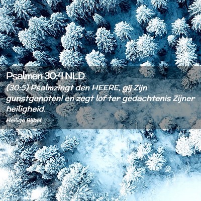 Picture 02 - Psalmen 30:4 NLD - (30:5) Psalmzingt den HEERE, gij Zijn - Bible Verse Picture
