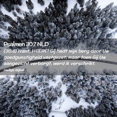Picture 02 - Psalmen 30:7 NLD - (30:8) Want, HEERE! Gij hadt mijn berg door Uw - Bible Verse Picture