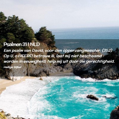 Picture 02 - Psalmen 31:1 NLD - Een psalm van David, voor den opperzangmeester. - Bible Verse Picture