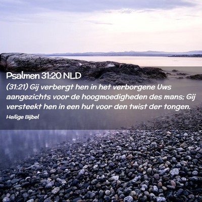 Picture 02 - Psalmen 31:20 NLD - (31:21) Gij verbergt hen in het verborgene Uws - Bible Verse Picture