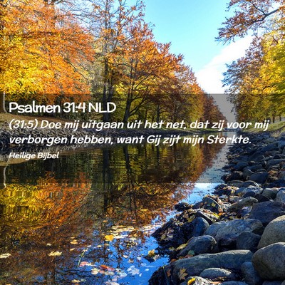 Picture 02 - Psalmen 31:4 NLD - (31:5) Doe mij uitgaan uit het net, dat zij voor - Bible Verse Picture