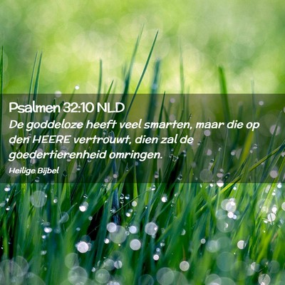 Picture 02 - Psalmen 32:10 NLD - De goddeloze heeft veel smarten, maar die op den - Bible Verse Picture