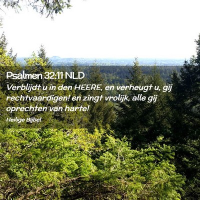 Picture 02 - Psalmen 32:11 NLD - Verblijdt u in den HEERE, en verheugt u, gij - Bible Verse Picture