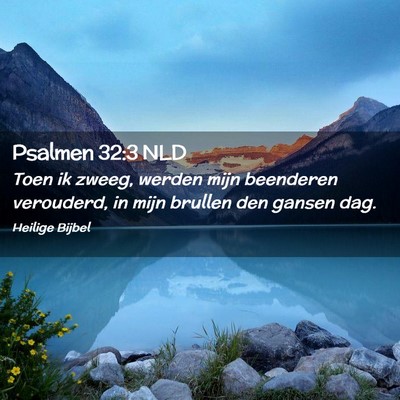 Picture 02 - Psalmen 32:3 NLD - Toen ik zweeg, werden mijn beenderen verouderd, - Bible Verse Picture