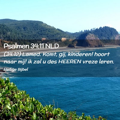 Picture 02 - Psalmen 34:11 NLD - (34:12) Lamed. Komt, gij, kinderen! hoort naar - Bible Verse Picture