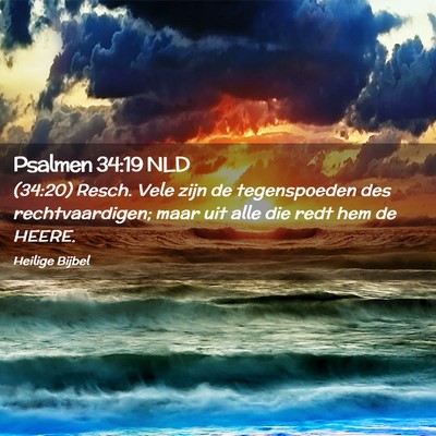 Picture 02 - Psalmen 34:19 NLD - (34:20) Resch. Vele zijn de tegenspoeden des - Bible Verse Picture