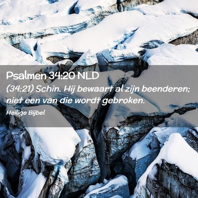Picture 02 - Psalmen 34:20 NLD - (34:21) Schin. Hij bewaart al zijn beenderen; - Bible Verse Picture
