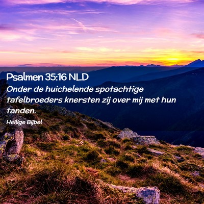 Picture 02 - Psalmen 35:16 NLD - Onder de huichelende spotachtige tafelbroeders - Bible Verse Picture