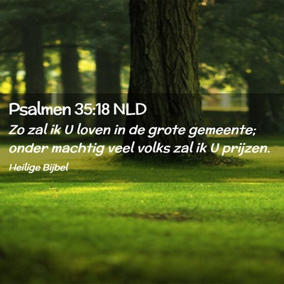 Picture 02 - Psalmen 35:18 NLD - Zo zal ik U loven in de grote gemeente; onder - Bible Verse Picture
