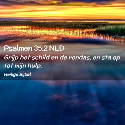 Picture 02 - Psalmen 35:2 NLD - Grijp het schild en de rondas, en sta op tot mijn - Bible Verse Picture