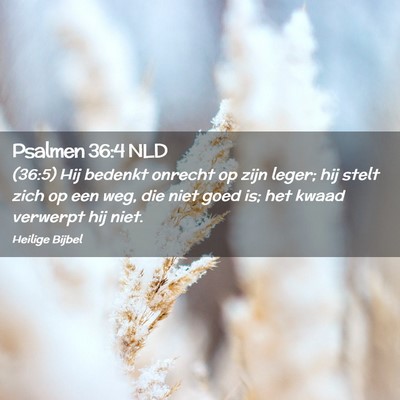 Picture 02 - Psalmen 36:4 NLD - (36:5) Hij bedenkt onrecht op zijn leger; hij - Bible Verse Picture