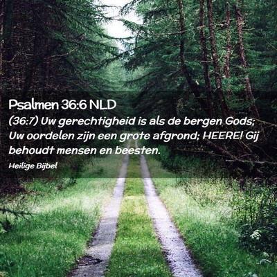 Picture 02 - Psalmen 36:6 NLD - (36:7) Uw gerechtigheid is als de bergen Gods; Uw - Bible Verse Picture