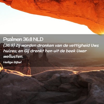 Picture 02 - Psalmen 36:8 NLD - (36:9) Zij worden dronken van de vettigheid Uws - Bible Verse Picture