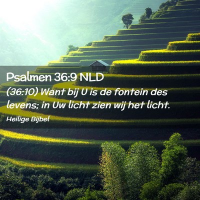 Picture 02 - Psalmen 36:9 NLD - (36:10) Want bij U is de fontein des levens; in - Bible Verse Picture