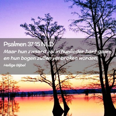 Picture 02 - Psalmen 37:15 NLD - Maar hun zwaard zal in hunlieder hart gaan; en - Bible Verse Picture