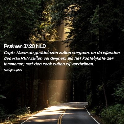 Picture 02 - Psalmen 37:20 NLD - Caph. Maar de goddelozen zullen vergaan, en de - Bible Verse Picture