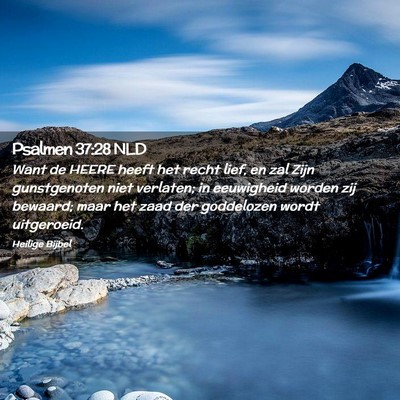 Picture 02 - Psalmen 37:28 NLD - Want de HEERE heeft het recht lief, en zal Zijn - Bible Verse Picture