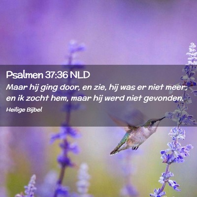 Picture 02 - Psalmen 37:36 NLD - Maar hij ging door, en zie, hij was er niet meer; - Bible Verse Picture