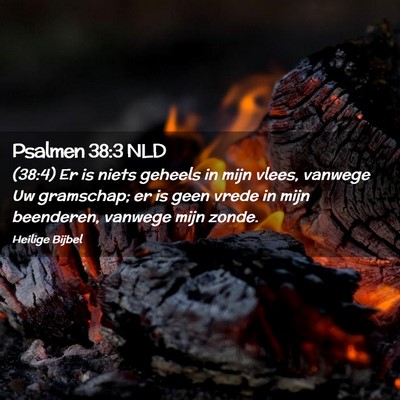 Picture 02 - Psalmen 38:3 NLD - (38:4) Er is niets geheels in mijn vlees, vanwege - Bible Verse Picture