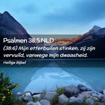 Picture 02 - Psalmen 38:5 NLD - (38:6) Mijn etterbuilen stinken, zij zijn - Bible Verse Picture