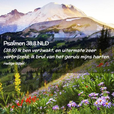 Picture 02 - Psalmen 38:8 NLD - (38:9) Ik ben verzwakt, en uitermate zeer - Bible Verse Picture