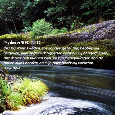 Picture 02 - Psalmen 40:12 NLD - (40:13) Want kwaden, tot zonder getal toe, hebben - Bible Verse Picture