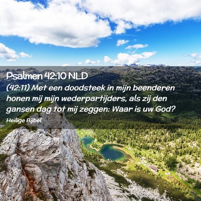 Picture 02 - Psalmen 42:10 NLD - (42:11) Met een doodsteek in mijn beenderen honen - Bible Verse Picture