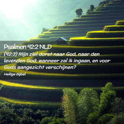 Picture 02 - Psalmen 42:2 NLD - (42:3) Mijn ziel dorst naar God, naar den - Bible Verse Picture