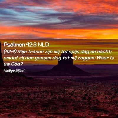 Picture 02 - Psalmen 42:3 NLD - (42:4) Mijn tranen zijn mij tot spijs dag en - Bible Verse Picture