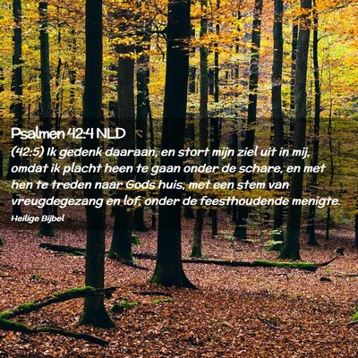 Picture 02 - Psalmen 42:4 NLD - (42:5) Ik gedenk daaraan, en stort mijn ziel uit - Bible Verse Picture