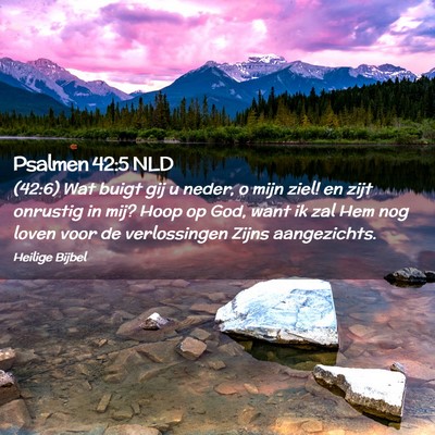 Picture 02 - Psalmen 42:5 NLD - (42:6) Wat buigt gij u neder, o mijn ziel! en - Bible Verse Picture