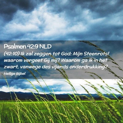 Picture 02 - Psalmen 42:9 NLD - (42:10) Ik zal zeggen tot God: Mijn Steenrots! - Bible Verse Picture