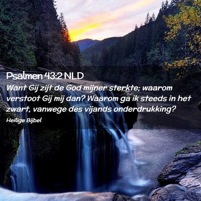 Picture 02 - Psalmen 43:2 NLD - Want Gij zijt de God mijner sterkte; waarom - Bible Verse Picture