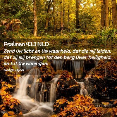 Picture 02 - Psalmen 43:3 NLD - Zend Uw licht en Uw waarheid, dat die mij leiden; - Bible Verse Picture
