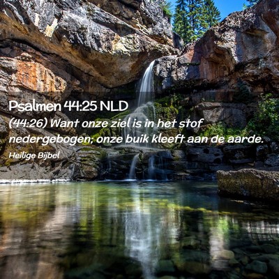 Picture 02 - Psalmen 44:25 NLD - (44:26) Want onze ziel is in het stof - Bible Verse Picture