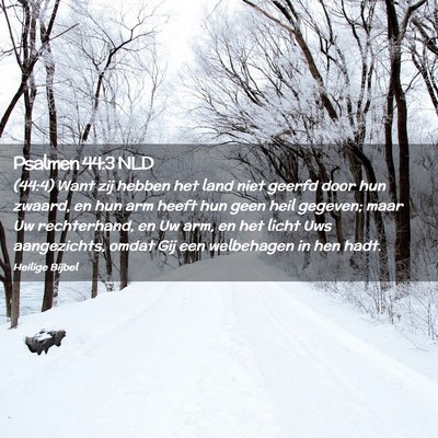 Picture 02 - Psalmen 44:3 NLD - (44:4) Want zij hebben het land niet geerfd door - Bible Verse Picture
