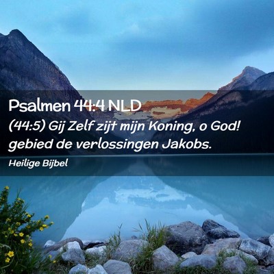 Picture 02 - Psalmen 44:4 NLD - (44:5) Gij Zelf zijt mijn Koning, o God! gebied - Bible Verse Picture