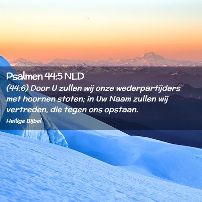 Picture 02 - Psalmen 44:5 NLD - (44:6) Door U zullen wij onze wederpartijders met - Bible Verse Picture