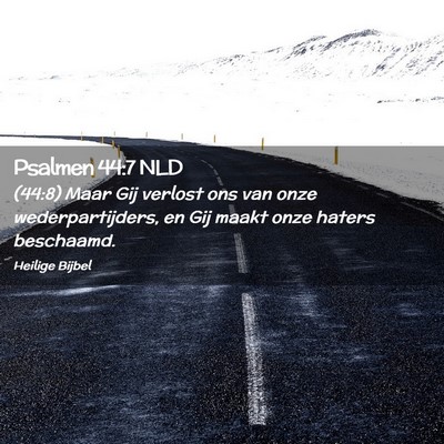 Picture 02 - Psalmen 44:7 NLD - (44:8) Maar Gij verlost ons van onze - Bible Verse Picture