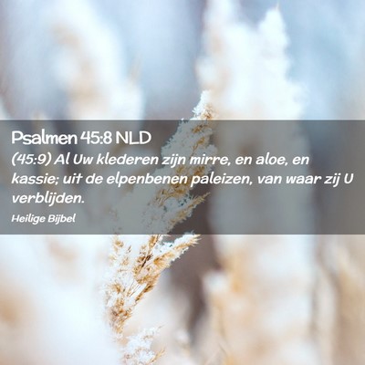 Picture 02 - Psalmen 45:8 NLD - (45:9) Al Uw klederen zijn mirre, en aloe, en - Bible Verse Picture