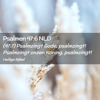 Picture 02 - Psalmen 47:6 NLD - (47:7) Psalmzingt Gode, psalmzingt! Psalmzingt - Bible Verse Picture