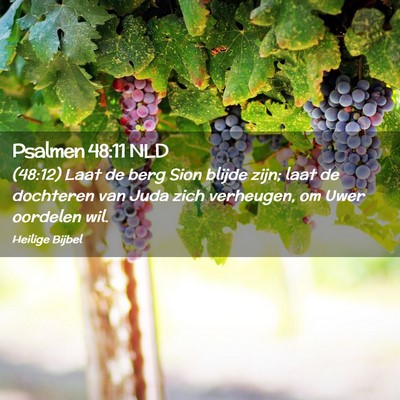 Picture 02 - Psalmen 48:11 NLD - (48:12) Laat de berg Sion blijde zijn; laat de - Bible Verse Picture