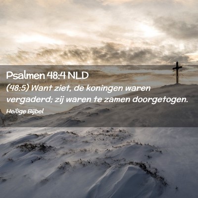 Picture 02 - Psalmen 48:4 NLD - (48:5) Want ziet, de koningen waren vergaderd; - Bible Verse Picture
