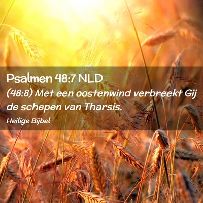 Picture 02 - Psalmen 48:7 NLD - (48:8) Met een oostenwind verbreekt Gij de - Bible Verse Picture