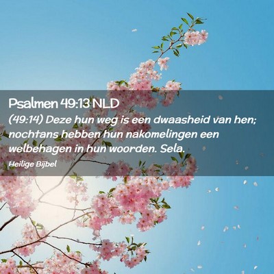 Picture 02 - Psalmen 49:13 NLD - (49:14) Deze hun weg is een dwaasheid van hen; - Bible Verse Picture