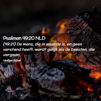 Picture 02 - Psalmen 49:20 NLD - (49:21) De mens, die in waarde is, en geen - Bible Verse Picture