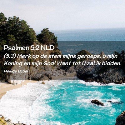 Picture 02 - Psalmen 5:2 NLD - (5:3) Merk op de stem mijns geroeps, o mijn - Bible Verse Picture