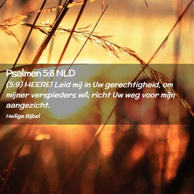 Picture 02 - Psalmen 5:8 NLD - (5:9) HEERE! Leid mij in Uw gerechtigheid, om - Bible Verse Picture