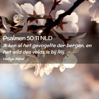 Picture 02 - Psalmen 50:11 NLD - Ik ken al het gevogelte der bergen, en het wild - Bible Verse Picture