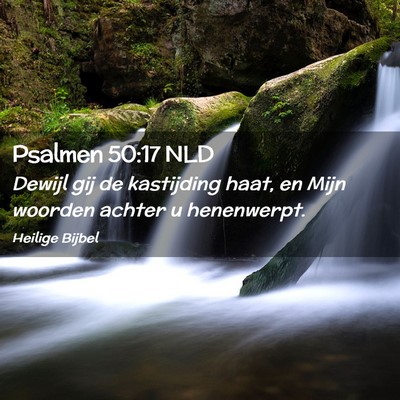 Picture 02 - Psalmen 50:17 NLD - Dewijl gij de kastijding haat, en Mijn woorden - Bible Verse Picture